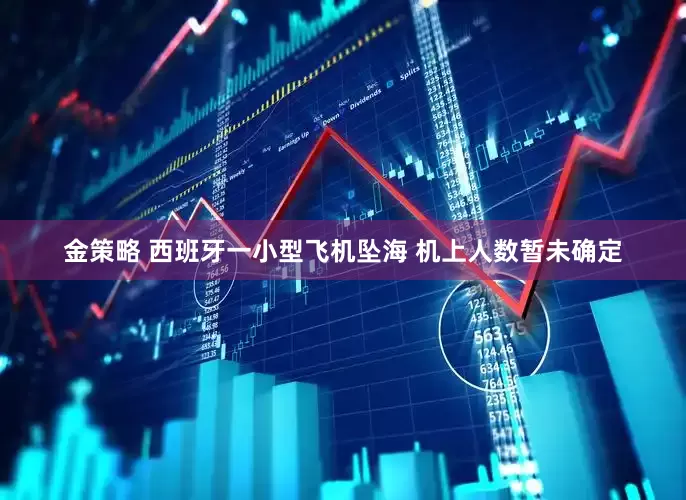 金策略 西班牙一小型飞机坠海 机上人数暂未确定