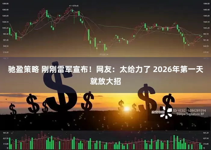 驰盈策略 刚刚雷军宣布！网友：太给力了 2026年第一天就放大招