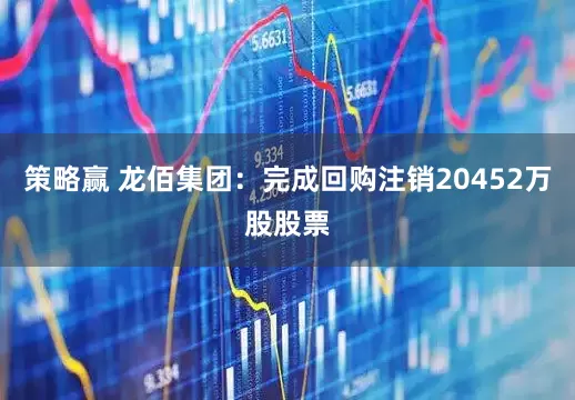 策略赢 龙佰集团：完成回购注销20452万股股票