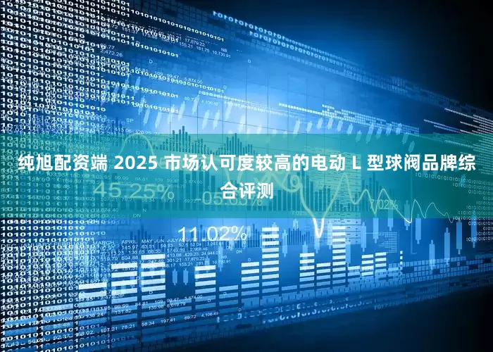 纯旭配资端 2025 市场认可度较高的电动 L 型球阀品牌综合评测